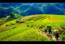 VIETNAM GRAND TOUR 21 DAYS 20 NIGHTS from 820 USD/person only